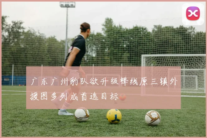 广东广州豹队欲升级锋线原三镇外援图多列成首选目标