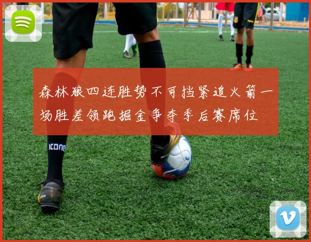 森林狼四连胜势不可挡紧追火箭一场胜差领跑掘金争夺季后赛席位