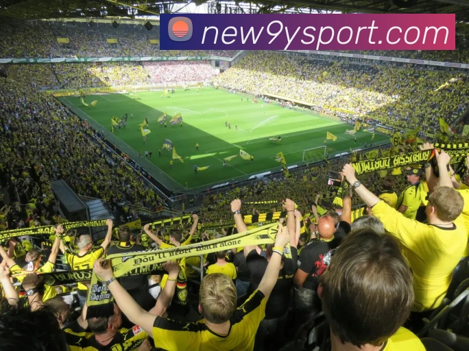 九游足球平台生态图